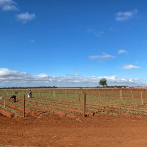 PHOTO-2020-04-25-14-38-04 (1)