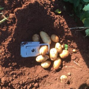 PHOTO-2020-05-08-16-06-28