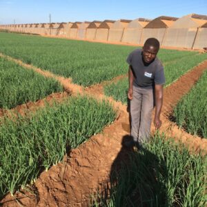 PHOTO-2020-05-08-16-06-32