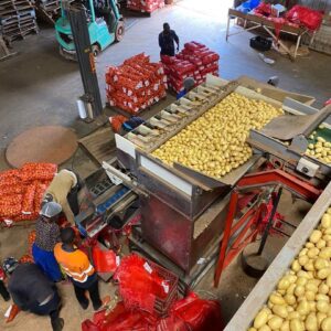 Foto_vondeling_africa