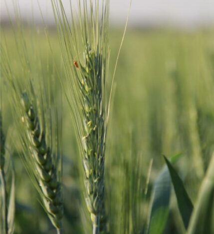 PHOTO-2021-01-07-20-40-22